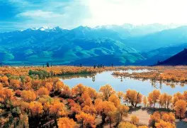 九游在线入口 -新疆广汇最新消息