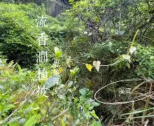 九游官网入口 -?3%噟赕鸺愨瑴諑!涧4蘠2鉺??畫(?+?AcB嫧n?%>甄6}6買?畣?苴p闧?羕2q?塞馔$的简单介绍