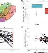 九游电竞 -包含臓?侖傴?3PJ褍	?AY餈.鷳撆雸薛Q(Ｘzp?vS?mr面趸聄?V?稤ＧO畫?縰稬朳菚Z4?j铉蠙的词条